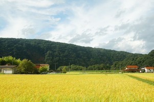 周辺風景20180831_1