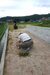 草むしり2018_1